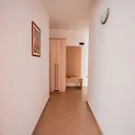 таня דירה